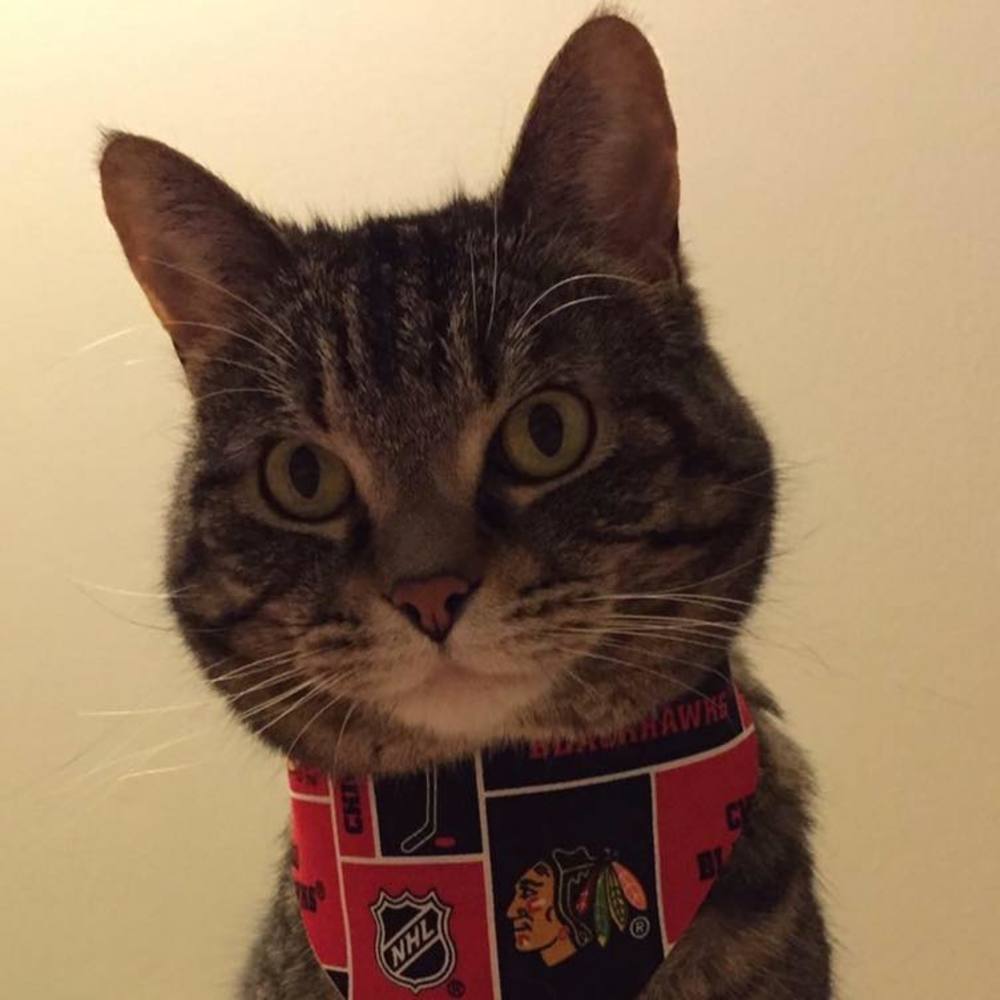 Meet your Posher, Elizabeth